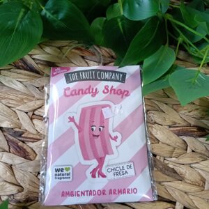 Ambientador Armario The Fruit Company Aroma Chicle Fresa