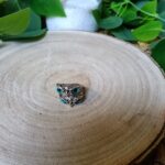 Anillos
