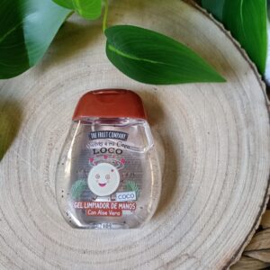 Gel Limpiador Manos The The Fruit Company Coco Aloe Vera