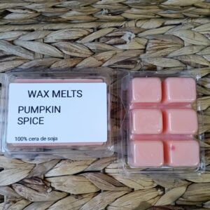 Wax Melts Artesanal Cera de soja natural Aroma Pumpkin Spice