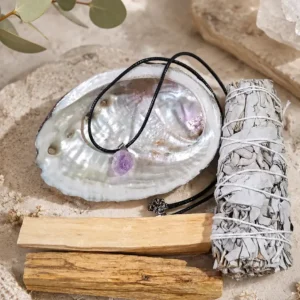 Conjunto Limpieza Energética Concha Abulon Salvia Blanca Palo Santo Colgante Amatista