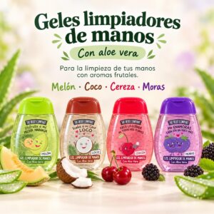 Gel Limpiador de Manos -The Fruit Company